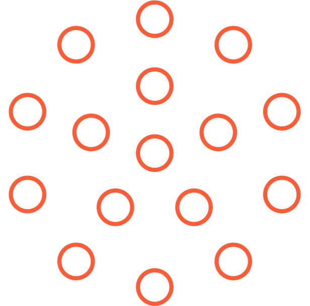 MHA Assessment Team Organisation 